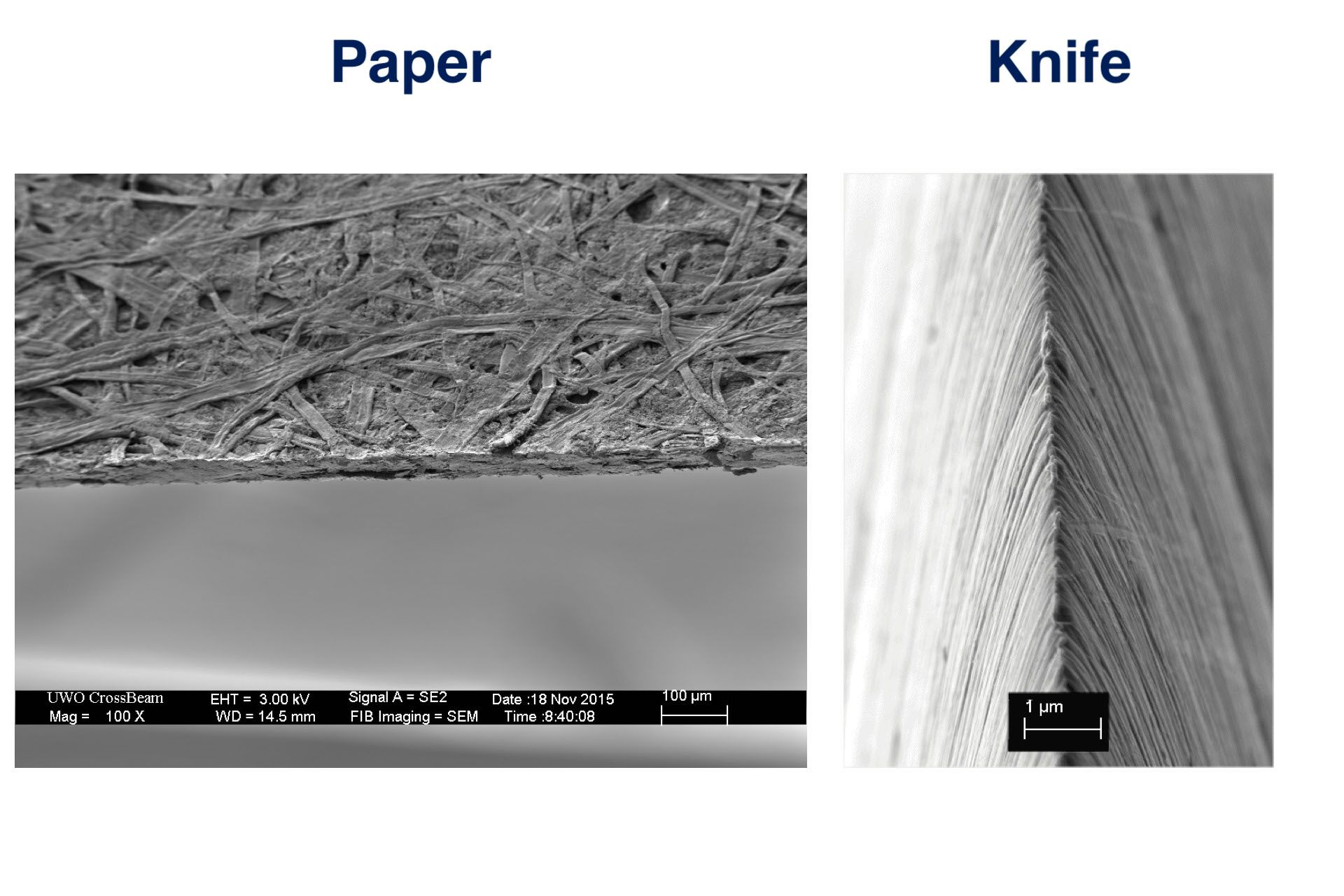 knife sharpness test paper cut comparison dull vs sharp